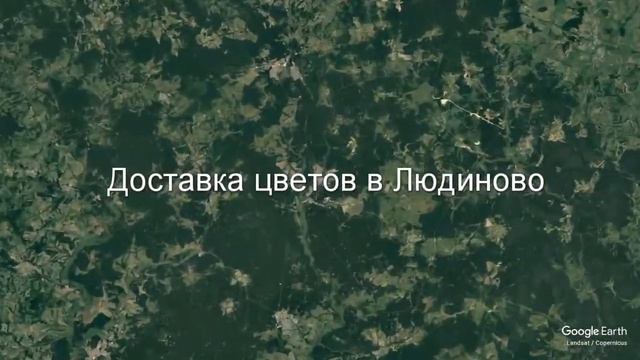 Доставка цветов в Людиново - Заказ букетов от компании Скорая подарочная помощь смотреть онлайн