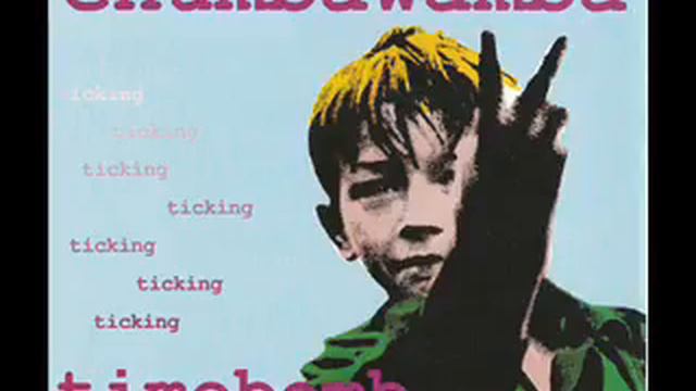 Chumbawamba Georgina