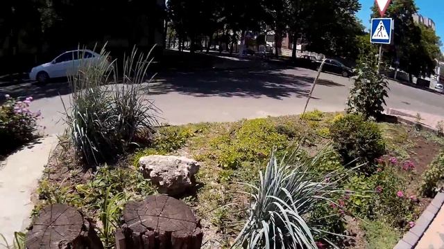 Красивый цветник возле дома с двумя пнями, камнями и колосками смотреть онлайн