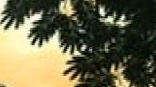 4x4 Safari Android Game - playslack.com смотреть онлайн