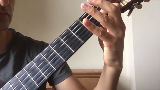 Веерные лады: что это такое, что дает и как насчет True Temperament?