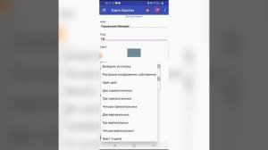 Как скачать флаг и установить? в игре мировые провинции империя!