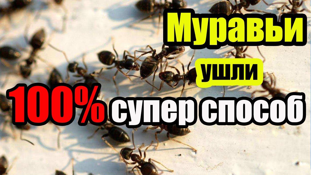 C Мариной Гусаковой