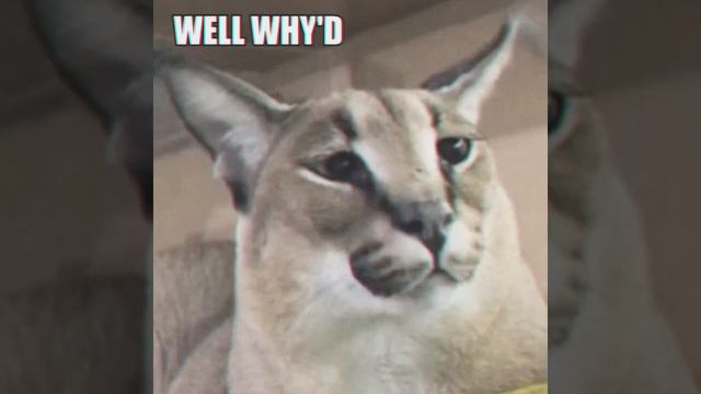 Big Floppa Peppermint