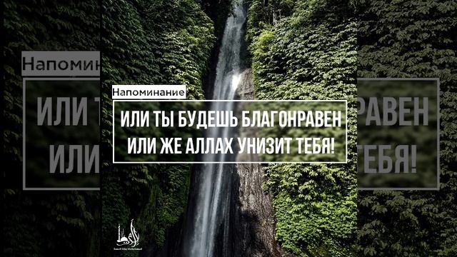 Исмаиль Абу Мухаммад - Или ты будешь благонравней, или же Аллах унизит тебя смотреть онлайн