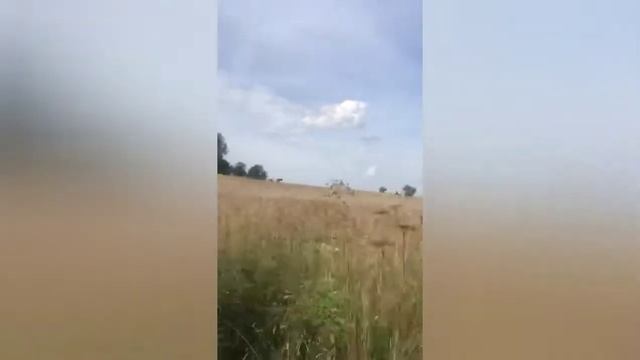 Мотовездеход Атаман трайк пауэр v15 смотреть онлайн