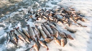 Мой город Тверь