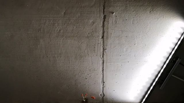 Проявочный свет (аналог эрголисс). Светодиодный прожектор. Лампа для работы. , смотреть онлайн
