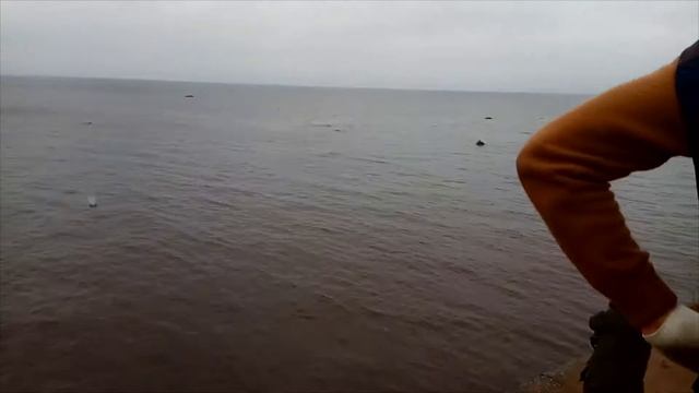 Снова форт Риф смотреть онлайн