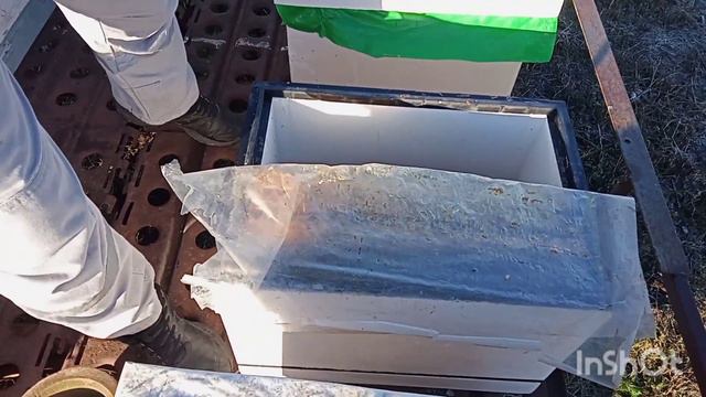 Соединяю по морозу два отводка, которые не перезимуют. смотреть онлайн