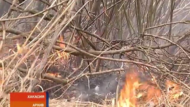 Угольщики и экологи объединились ради защиты природы Хакасии смотреть онлайн