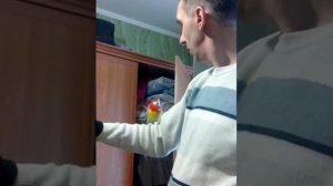 Розелла говорит Кешечка