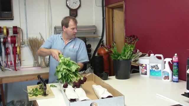 How To Prepare Peony Karl Rosenfield from France - lwflowers.com смотреть онлайн