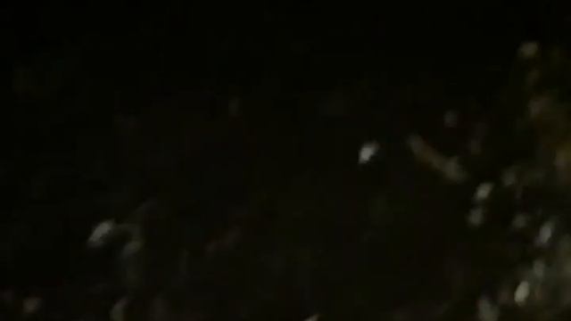 Встретили мaньяка ночью под мостом и рванули от туда /#StayHome смотреть онлайн