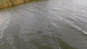 Весёловское водохранилище рыбалка на хищника!!!