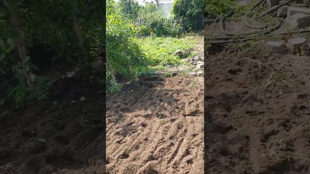 Дача 2 сюжет - перепахивают участок смотреть онлайн