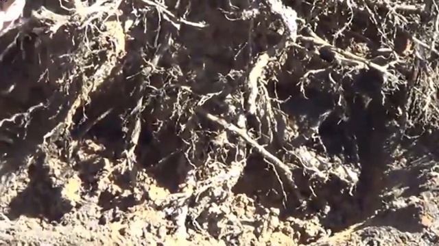 сами с ключами