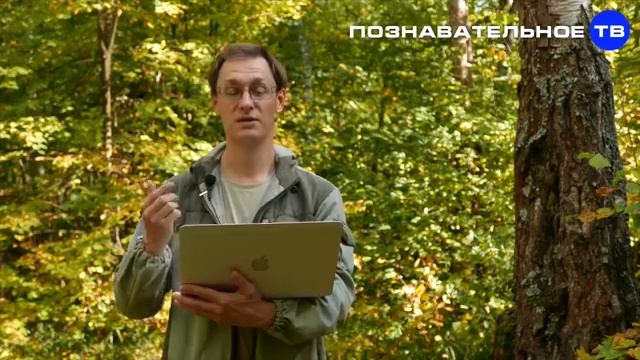 При чём здесь БАБЫ? Почему называется БАБЬЕ ЛЕТО? смотреть онлайн