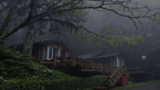 Шум дождя для сна 10 часов смотреть онлайн