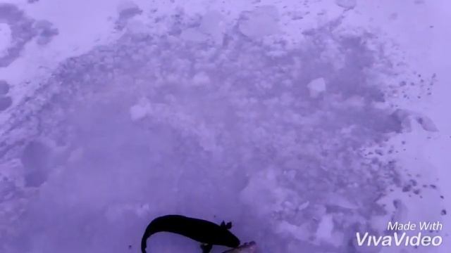 "РЫБАЛКА В КАРЕЛИИ" ПРОВЕРЯЕМ СЕТИ ЗИМОЙ, СУДАК НАЧИНАЕТ ПОПАДАТЬ ПО ЧУТЬ-ЧУТЬ. смотреть онлайн
