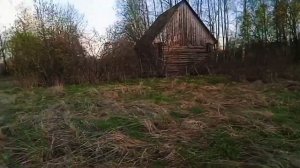 когда дурная голова, ногам покоя не даëт. Гравити Фолз и доктор Ливси.