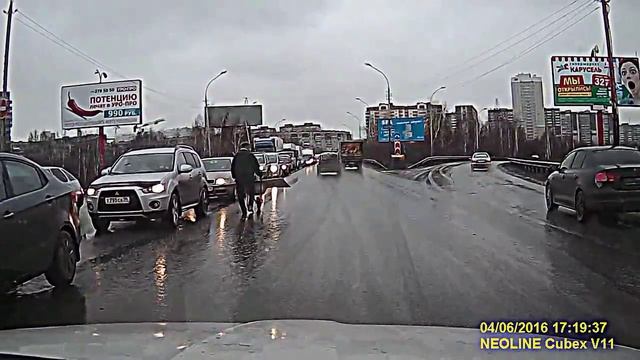 Мужик везет лист ДСП посреди дороги смотреть онлайн