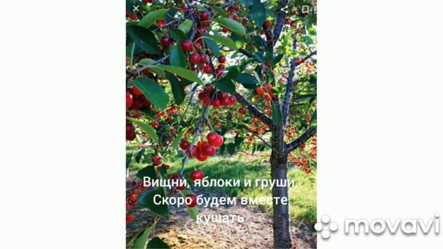 "Бабушкин сад" Музыкальный руководитель: Буслаев И.В https://youtu.be/kbTYEEXK9Jc смотреть онлайн