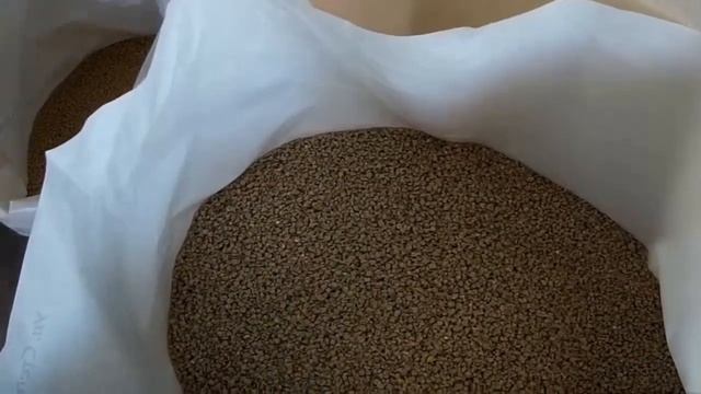 Цыплята Как нужно кормить смотреть онлайн