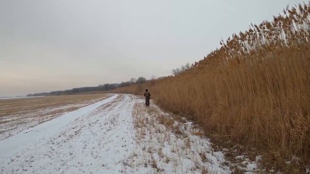Охота, прогулка по местности, Алматинская обл., п.Базаркелди 26.12.20г. смотреть онлайн