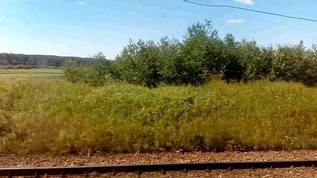 Вид на пляж и народ на берегу реки Луга с поезда идущего к Толмачёво. Ленинградская область 04.07.2 смотреть онлайн