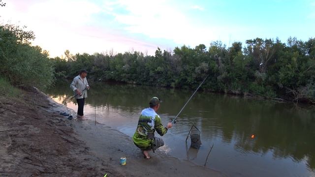 Рыбалка на поплавочную удочку! Бешеный клев! смотреть онлайн