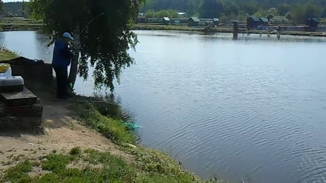 03.06.2018 - РаМеНсКиЙ рЫбХоЗ гЖеЛкА - мАлЫе ПрУдЫ смотреть онлайн