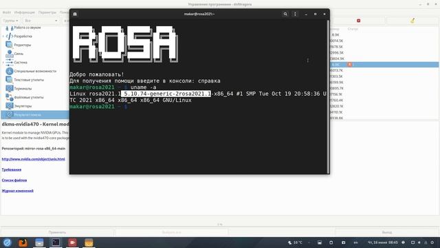 Rosa NVidia смотреть онлайн
