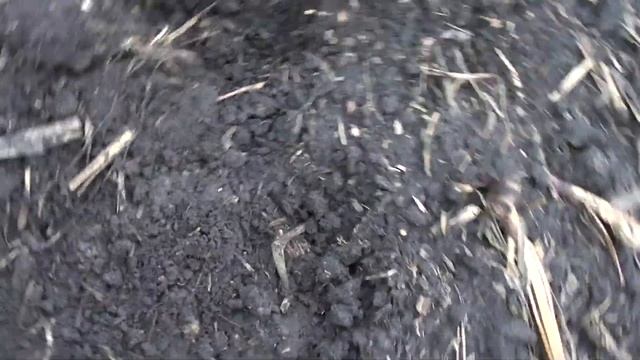 Корчма, дорога, и Хутор в одном месте. Коп по картам Шуберта. смотреть онлайн