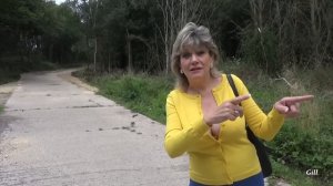 Gill Ellis-Young – Twyford Woods – Lets go for a walk