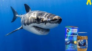 АМАРАНТ - лечебные свойства, польза и вред, как употреблять