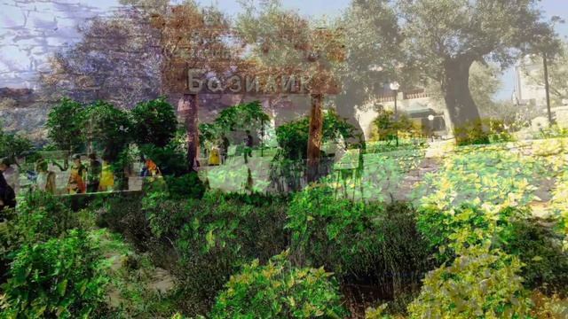 Golden Donkeys Farm Skarinou Cyprus смотреть онлайн