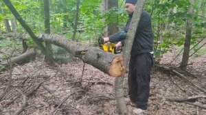 Бензопила Champion 362- 18 в работе , распил