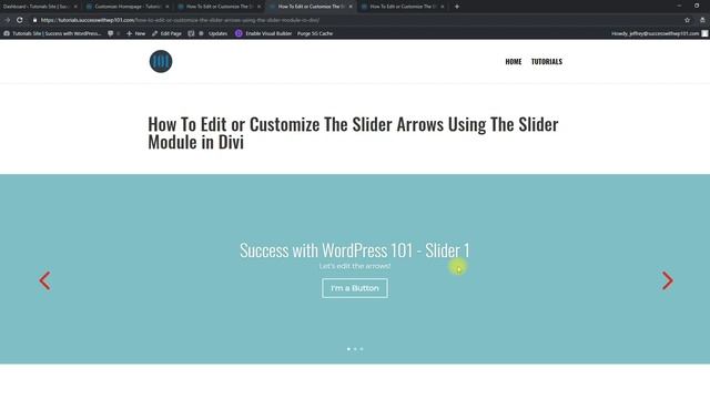 How To Edit or Customize The Slider Arrows Using The Slider Module in Divi смотреть онлайн