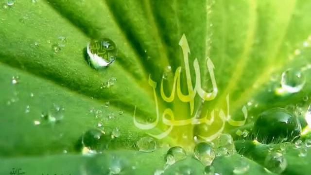 Hafiz Munawar Abbas Sultani New Bayan 2018 | Allama Munawar Abbas Sultani смотреть онлайн