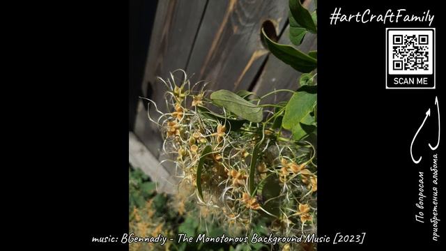 ArtCraft Family - Relaxing Background Music And Flowers [2022-2023]