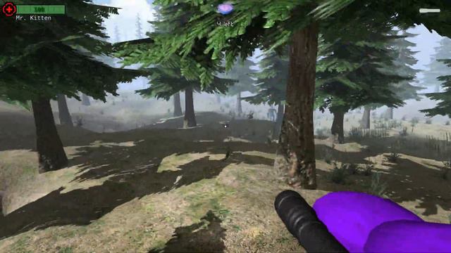 Smiles For Miles! | Slendytubbies: The Devil Among Us: Main Forest (Day) Collect (2023 Demo) смотреть онлайн