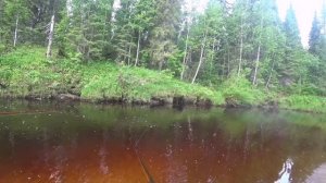 Ловля КРУПНОГО ХАРИУСА на малых таёжных реках Коми/Таёжная изба/природа Республики!