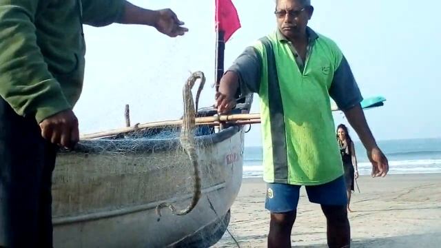 Морская змея в Индии? смотреть онлайн