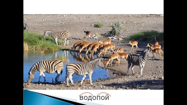 Проект по русскому языку "Семья слов" смотреть онлайн