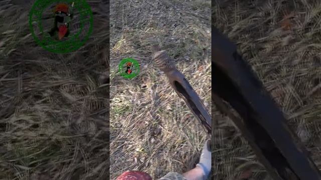 Нашел МГ.Что можно найти в лесу? #shorts смотреть онлайн