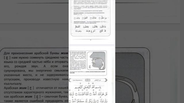 Восемнадцатый урок! Тема: къалкъала смотреть онлайн