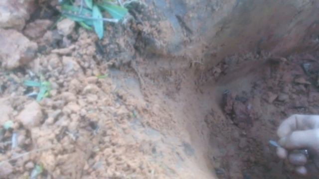 Настройка металлоискателя QUEST X5 + тест на глубину. Как он ведет себя в работе!