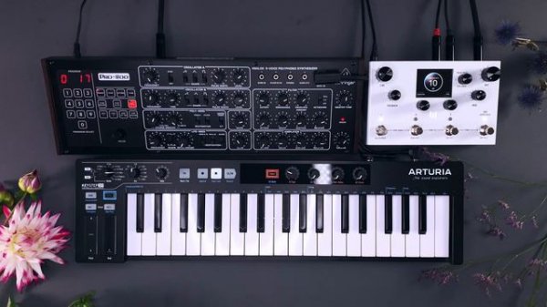 Behringer PRO-800 (Sound Demo): Presets for Melodic Techno, Ambient, Electronica: Modus Soundpack