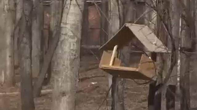 В парке появится детская площадка и пони смотреть онлайн